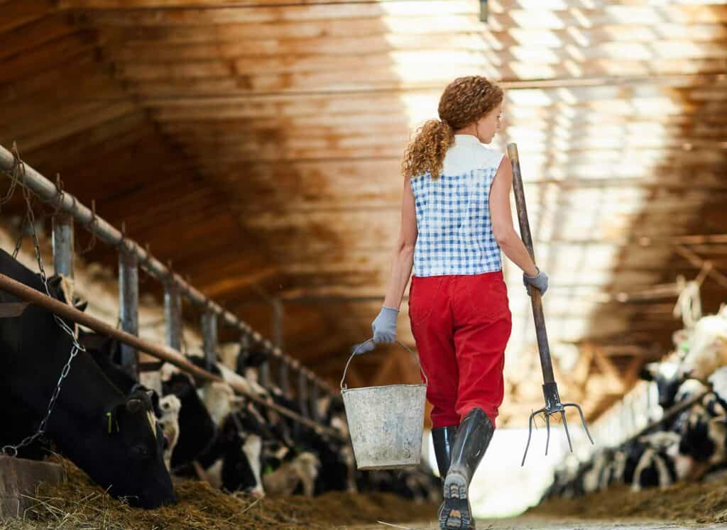 canada-employer-female-farm-worker-cows